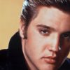 Graceland_Elvis_Aaron_Presley_King_of_Rock_n_Roll_iPhone_Application_Close_Pose_Dandy_Gadget_Software