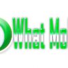 What_Mobile_Cellphone_Blog_Logo_Dandy_Gadget_Miscellaneous